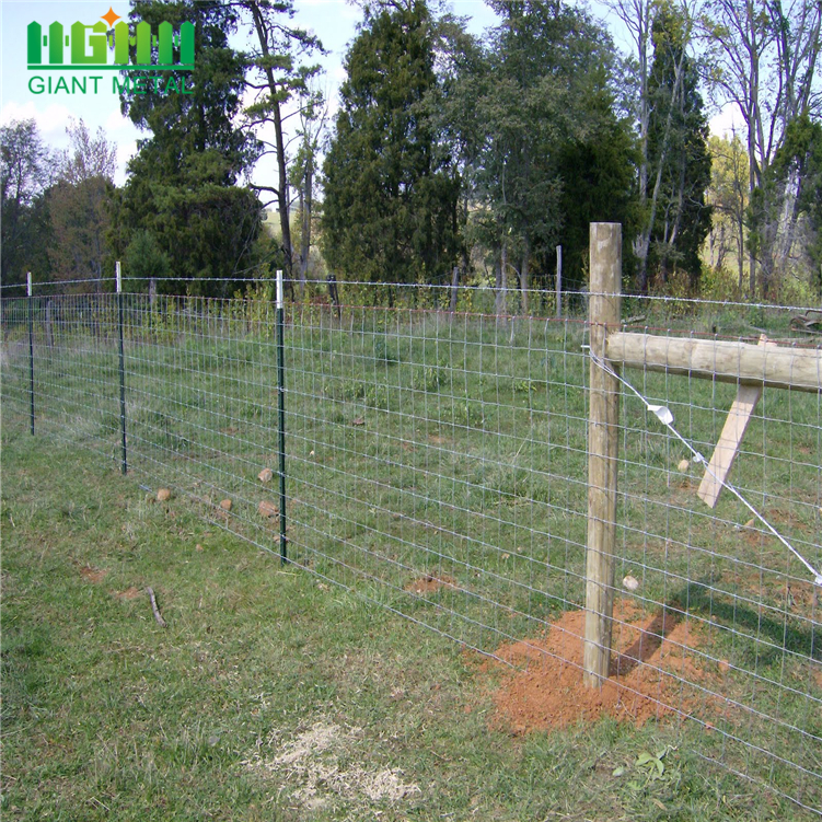 Hardware factory Color coated cheap fence t posts