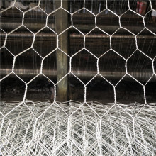 PVC Coated Hot Dipped Galvanized Hexagonal Wire Mesh: Lobster Traps, Crab Traps & Fish Traps