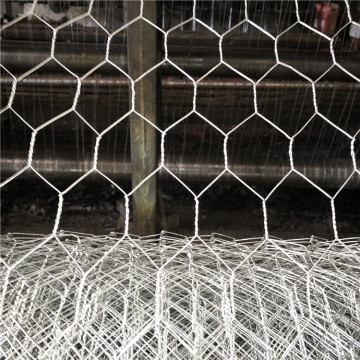 PVC Coated Hot Dipped Galvanized Hexagonal Wire Mesh: Lobster Traps, Crab Traps & Fish Traps