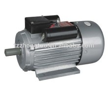YL service electric motor