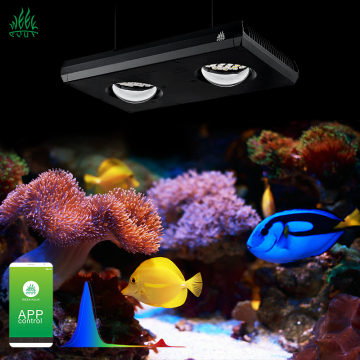 WEEK AQUA Dimmable LED Lighting for Reef Aquariums