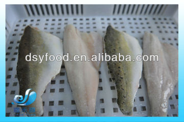 Frozen sea bass fillet