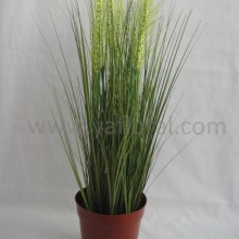 Natural grass for garden decorative indoor grass potted white artificial grass
