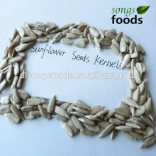 Sunflower Seed Market Price, Direct Buy China
