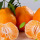 Frische Zitrusfrüchte saftige Orangen