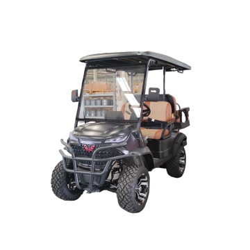 2-seater four-wheel golf cart