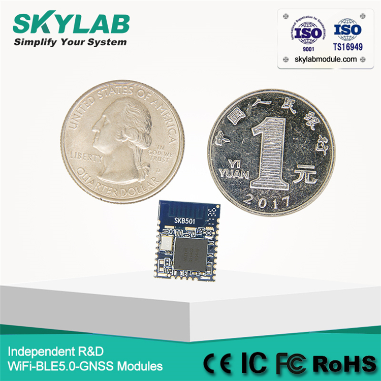 SKYLAB Wholesale Nordic nRF52840 Low Energy Transmitter Receiver Bluetooth 2.4GHz Module best price