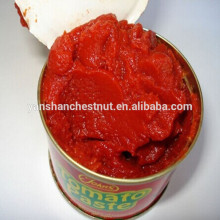 canned tomato paste Tomato Sauce,Tomato Ketchup tomato paste price ton