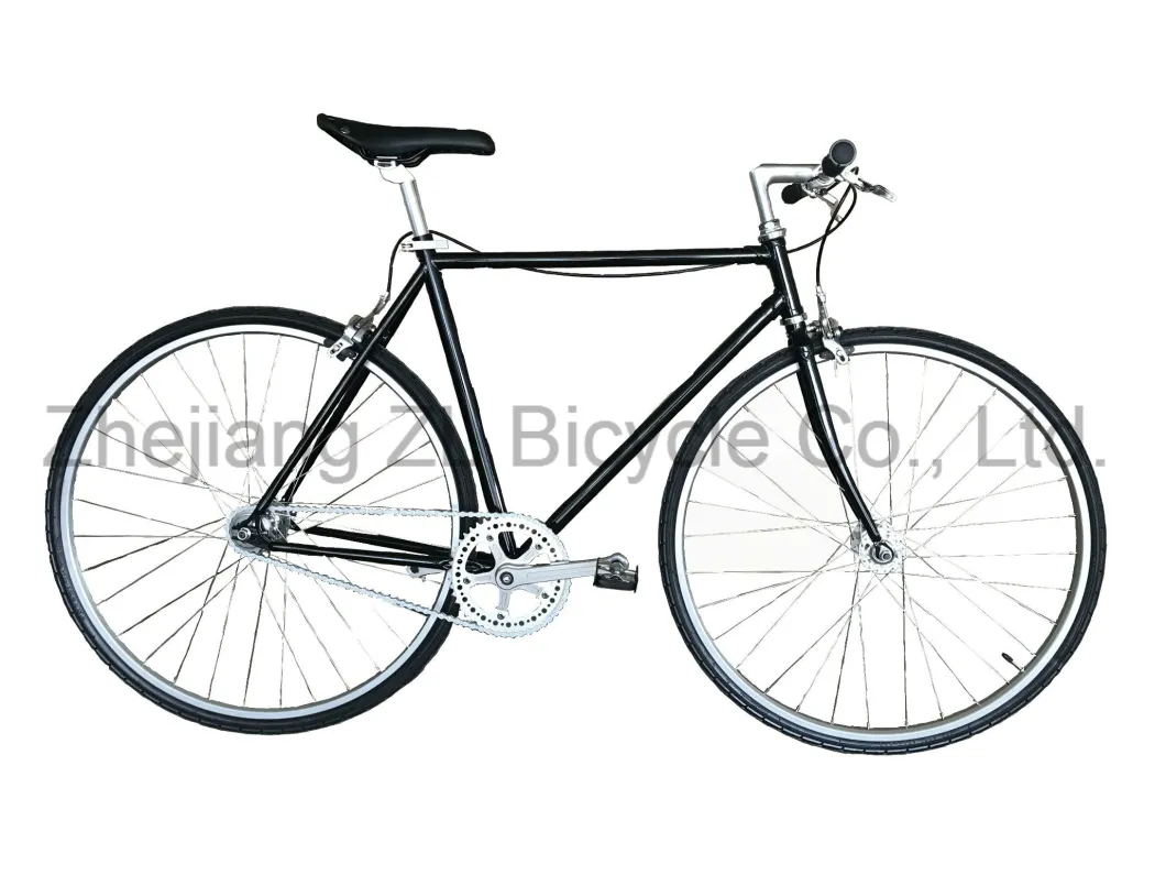 Hot-Sale Lugged Classical Fixie Gear Bike
