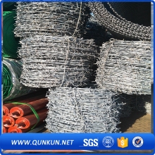 anti-theft galvanize barbed wire mesh
