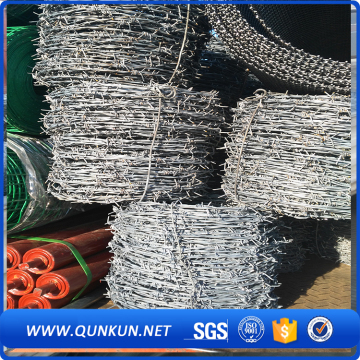 anti-theft galvanize barbed wire mesh