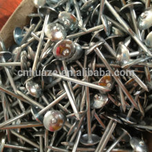 Flat Head Galvanized Roofing Nail
