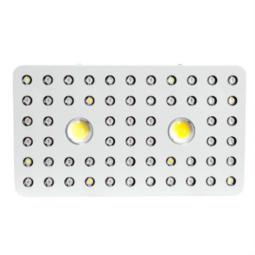 Bester Wert COB LED Wachsen Licht