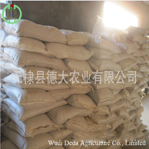Corn Gluten Meal 60% From China Manufacture