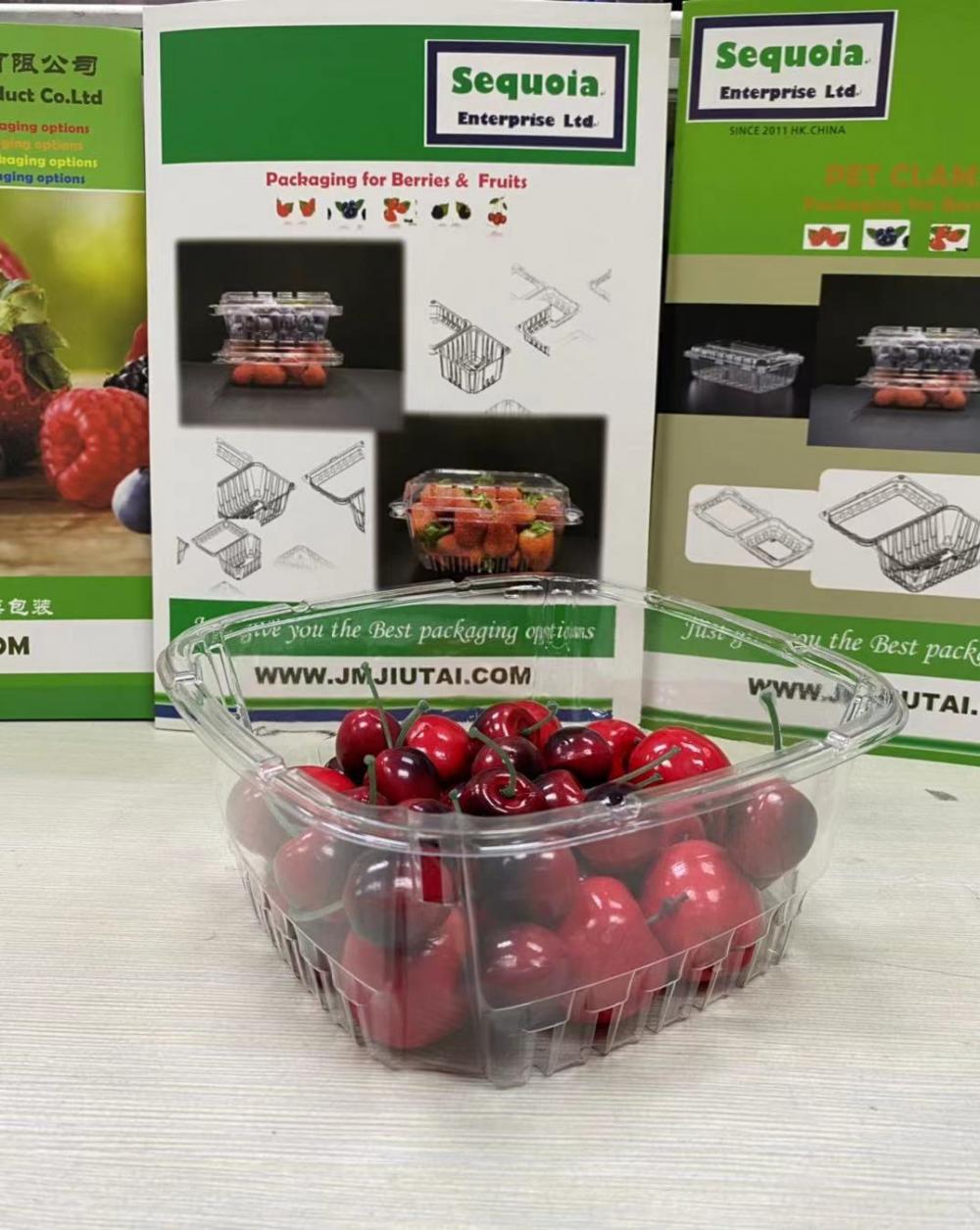 Conteneur de fruits de myrtille en plastique jetable ventilé