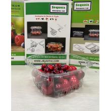 Boîte en plastique jetable de raisin