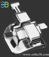 Orthodontic Lingual Bracket