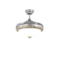 Silver Classic Retractable Ceiling Fan with LED Light