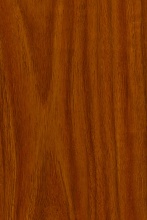 Traditional Golden Oak Linear Wood Grain Transfer Paper