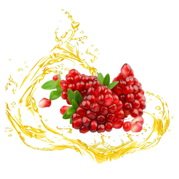 Pomegranate Seed Extract, Pomegranate Seed Oil