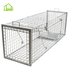 Strong Humane Cage Traps for Bobcat Fox