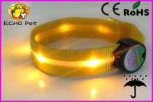 Best Selling LED Belt, LED Arm Blets (SHD)