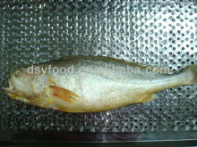 Yellow Croaker