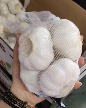 Snow White New Garlic