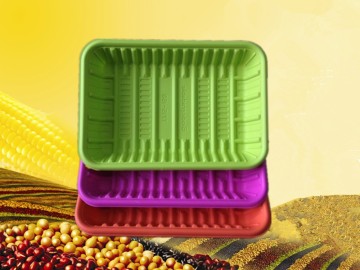 biodegradable disposable food tray