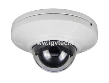 1080p Hd Ip Dome Camera?
