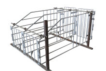 Galvanized Sanitary Characteristics Sow Gestation Stall