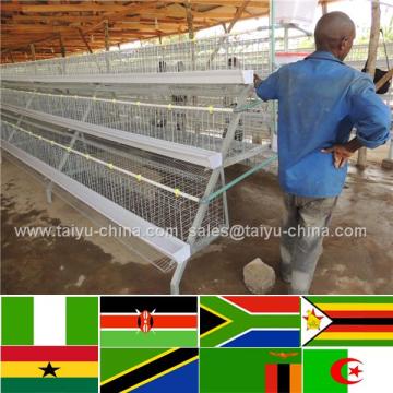 Nigerian office and warehouse chicken equipment industrial chicken house farm