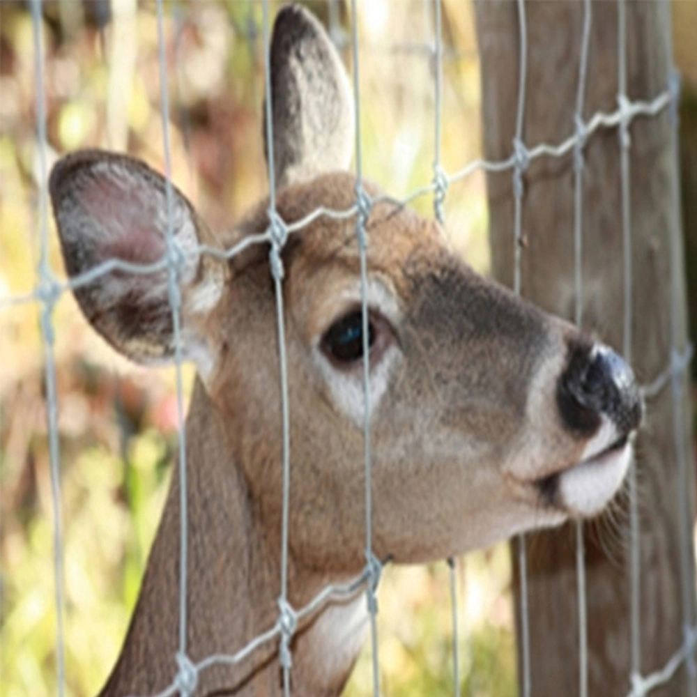 Fixed Knot Fence for USA Deer Fence