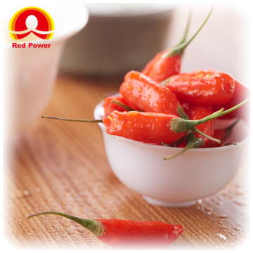 Red Power QIZITO red wolfberry goji berry wolfberry fruit chinese wolfberry ningxia