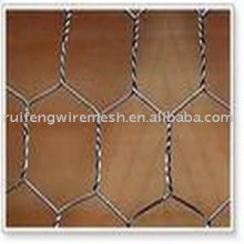 bird cage wire mesh