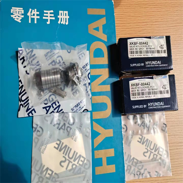 Lock Valve Kit XKBF-00442 Lock Valve Kit XKBF-00442