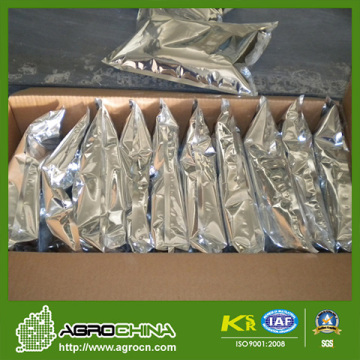 Acetamiprid 70wp/Acetamiprid Manufacturer/Acetamiprid Insecticide