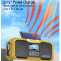 DF588 Multi solar speaker DAB FM Radio