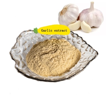 factory supply high quality garlic extract powder/garlic concentrated powder 10:1