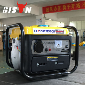 BISON(CHINA) Manufacture Price Mini Home Generators