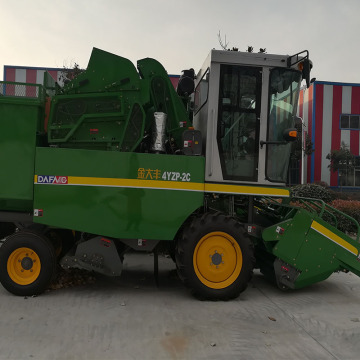 self-propelled maize corn combine harvesting