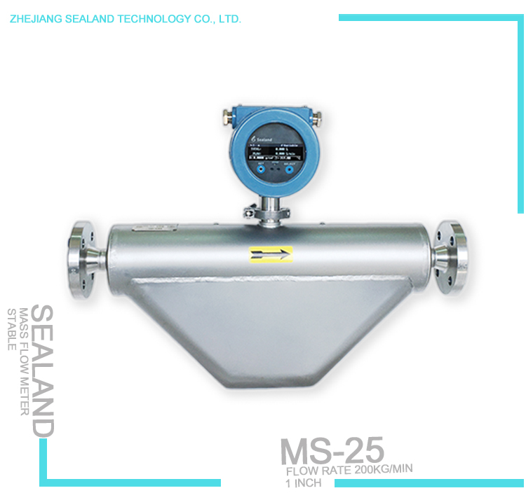 Mass Flow Meter 40