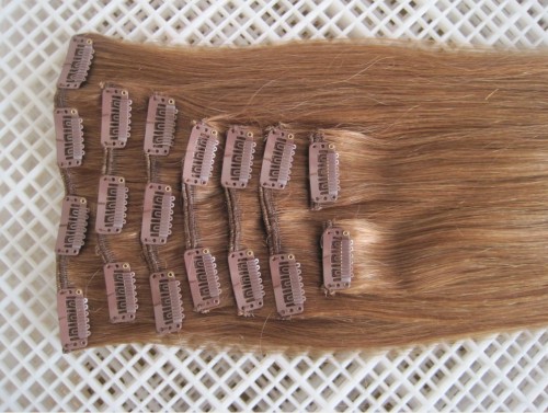 Virgin Remy Clip in Hair Extensions