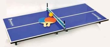 Table Tennis Game