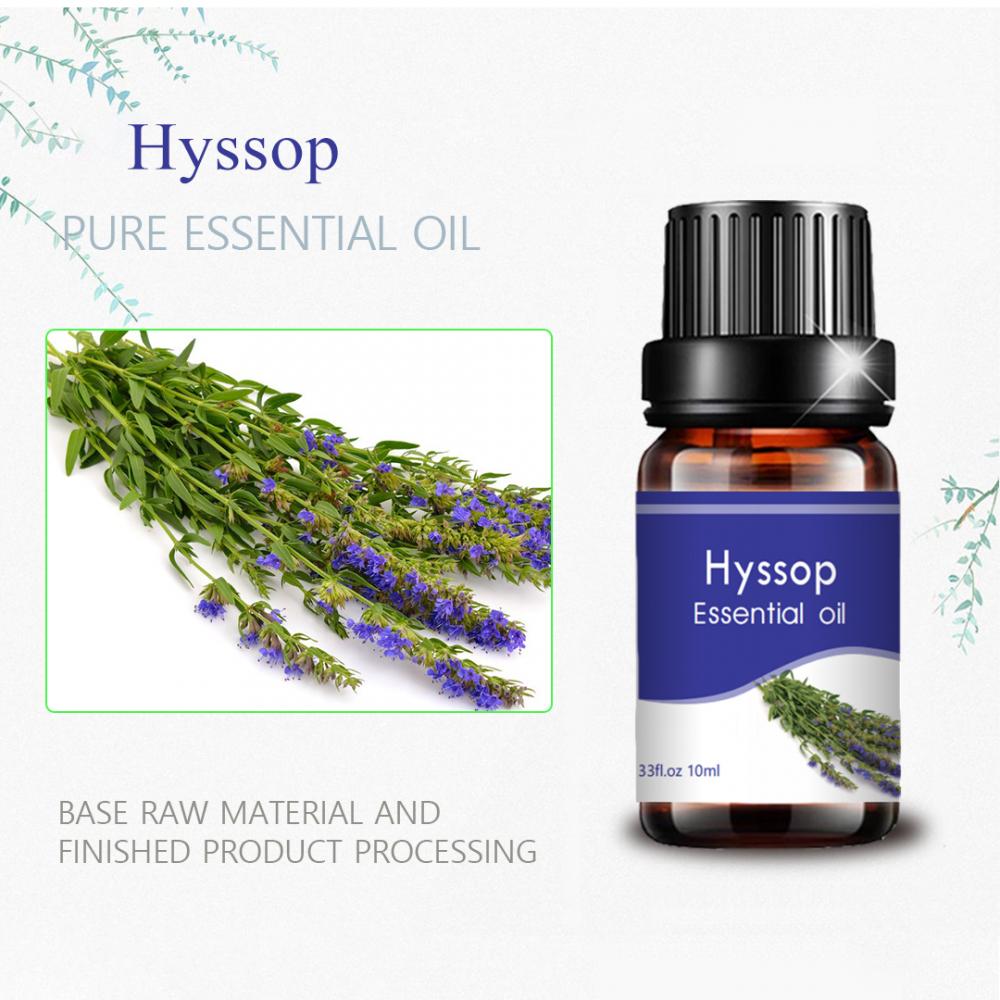 식품 등급 최고의 품질 10ml 벌크 Hyssop 에센셜 오일