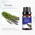 식품 등급 최고의 품질 10ml 벌크 Hyssop 에센셜 오일