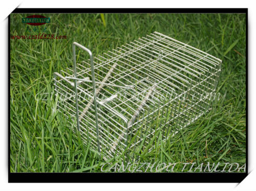 Effective metal rat trap world best selling products