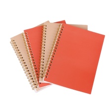 Spiral Binding Dairy Exercise Notebooks - Cheap Price A4 A5 Notebooks for Students