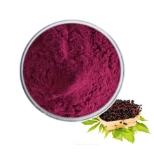 High quality pure black elderberry extract powder