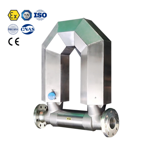 DN150 Coriolis Mass Flow Meter